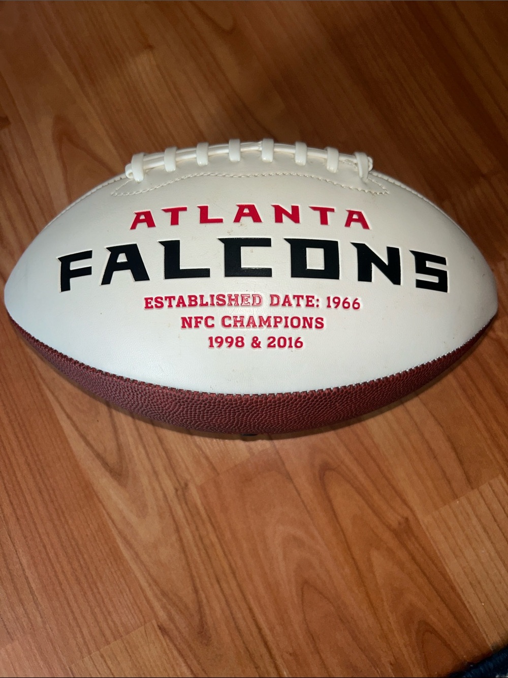 Atlanta Falcons Full Size
Football White Panel Logo Signature Series